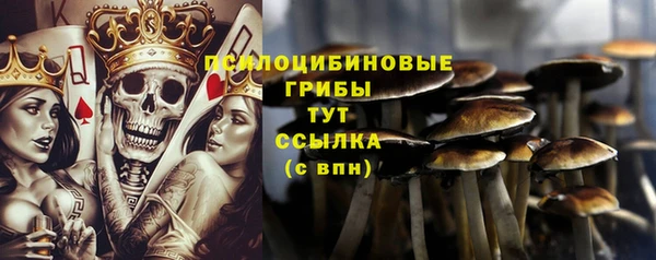 стаф Абдулино