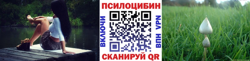 мега сайт  мориарти формула  Псилоцибиновые грибы прущие грибы  Кызыл 